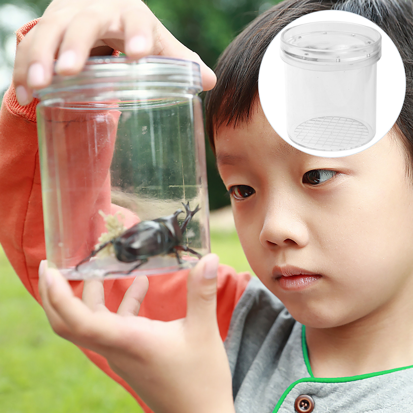5Pcs Insect Observation Box Ki - Science Toys incelemesi ve fiyatı