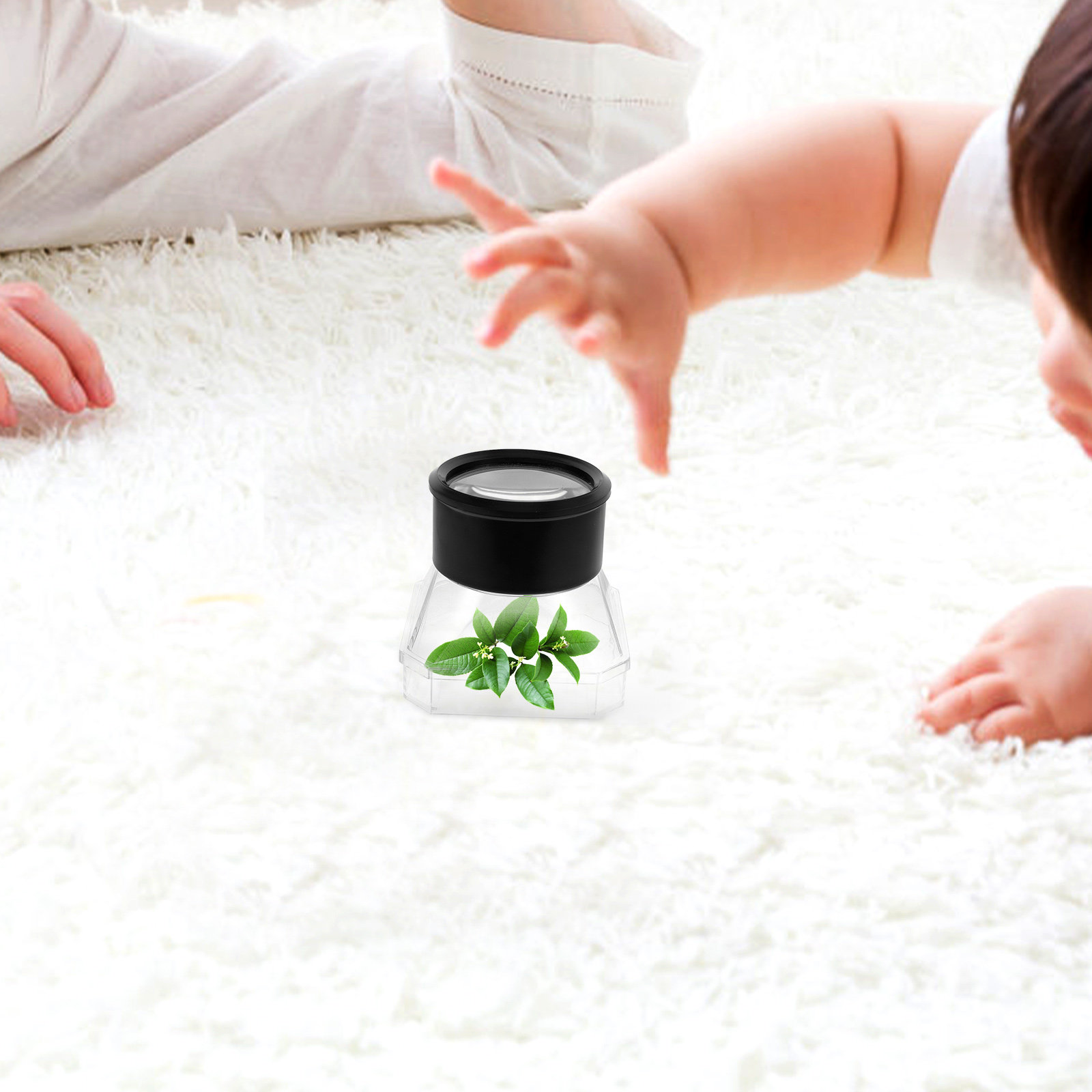 2Pcs Insect Magnifier Box Plas - Science Toys incelemesi ve fiyatı