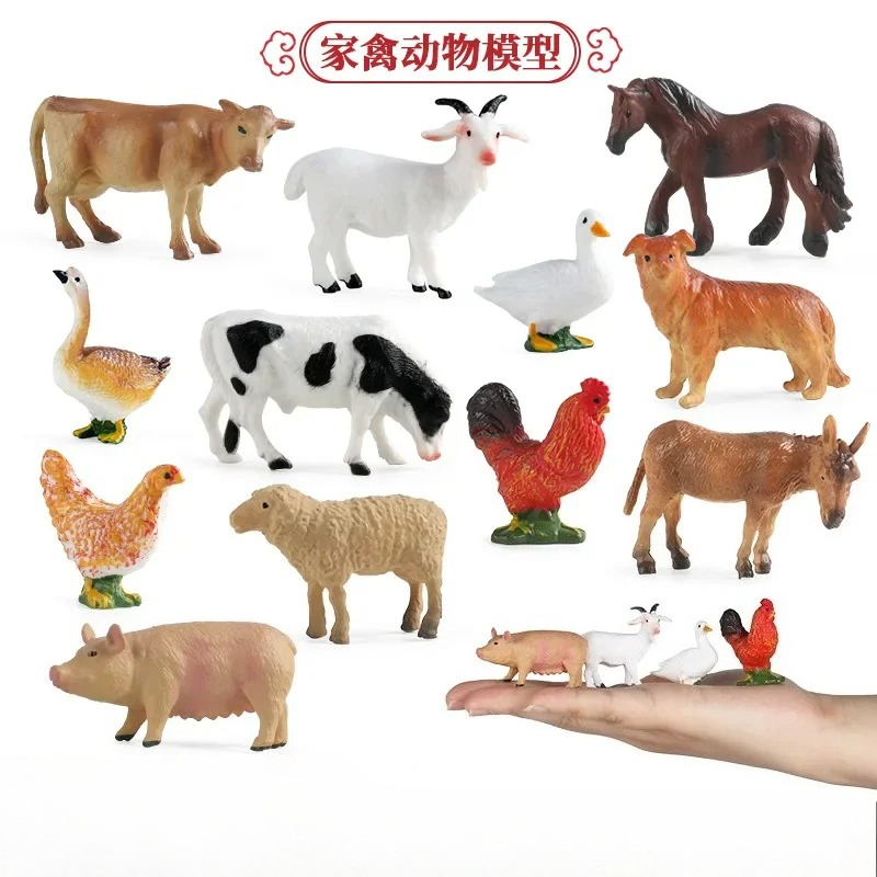 Education Teaching Tool Poultr - Science Toys incelemesi ve fiyatı